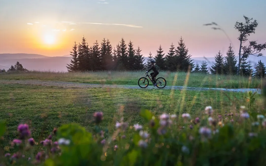 A cyclist crossing a high Pohorje meadow at sunset
